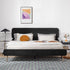 Darryl Velvet Fabric Bed Frame