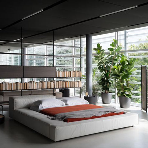 Jordy Modern Suede Fabric Bed Frame